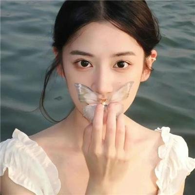我和我的伙伴